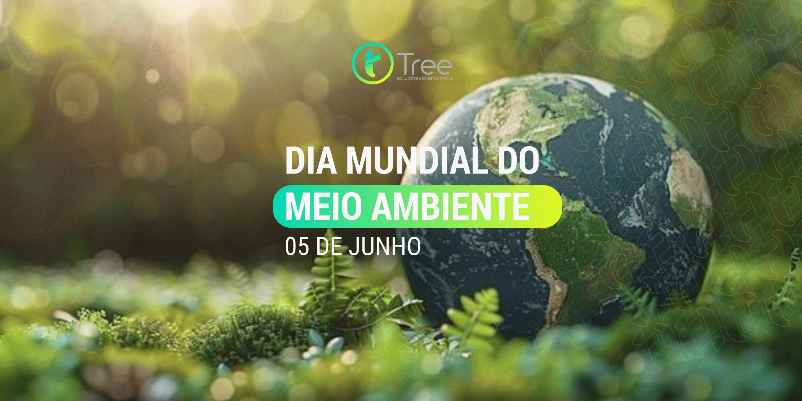 05/06 Dia Mundial do Meio Ambiente: 5 ações que sua empresa pode tomar já para reduzir plásticos
